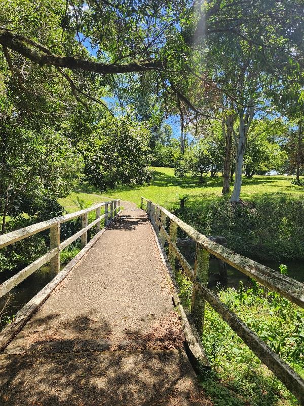 Foot-bridge-Dorrigo-Reserve.jpg