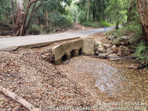 Rickerby’s-Culvert.jpg