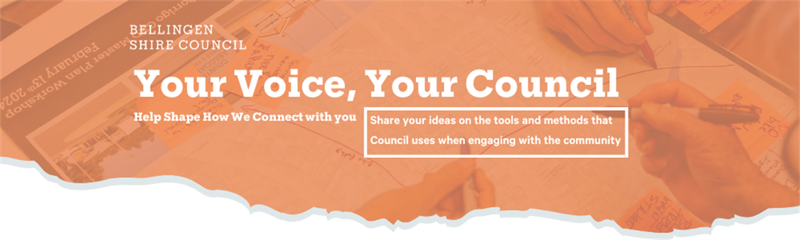 Your Voice, Your Council Engagement Survey.png