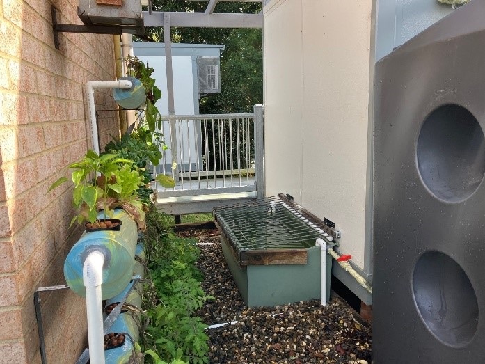 Aquaponics set up 2.jpg