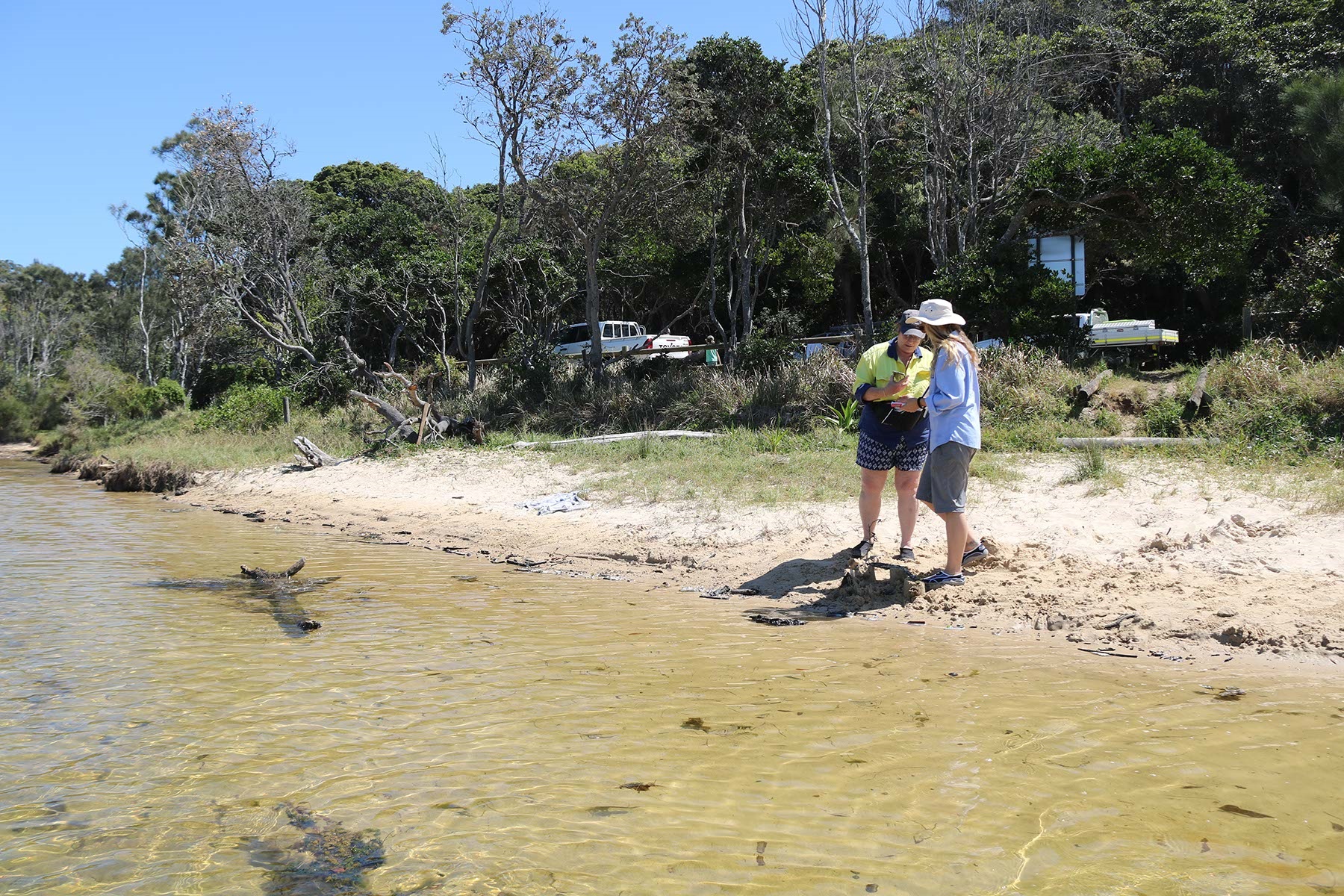 Beachwatch testing Dalhousie Creek.jpg