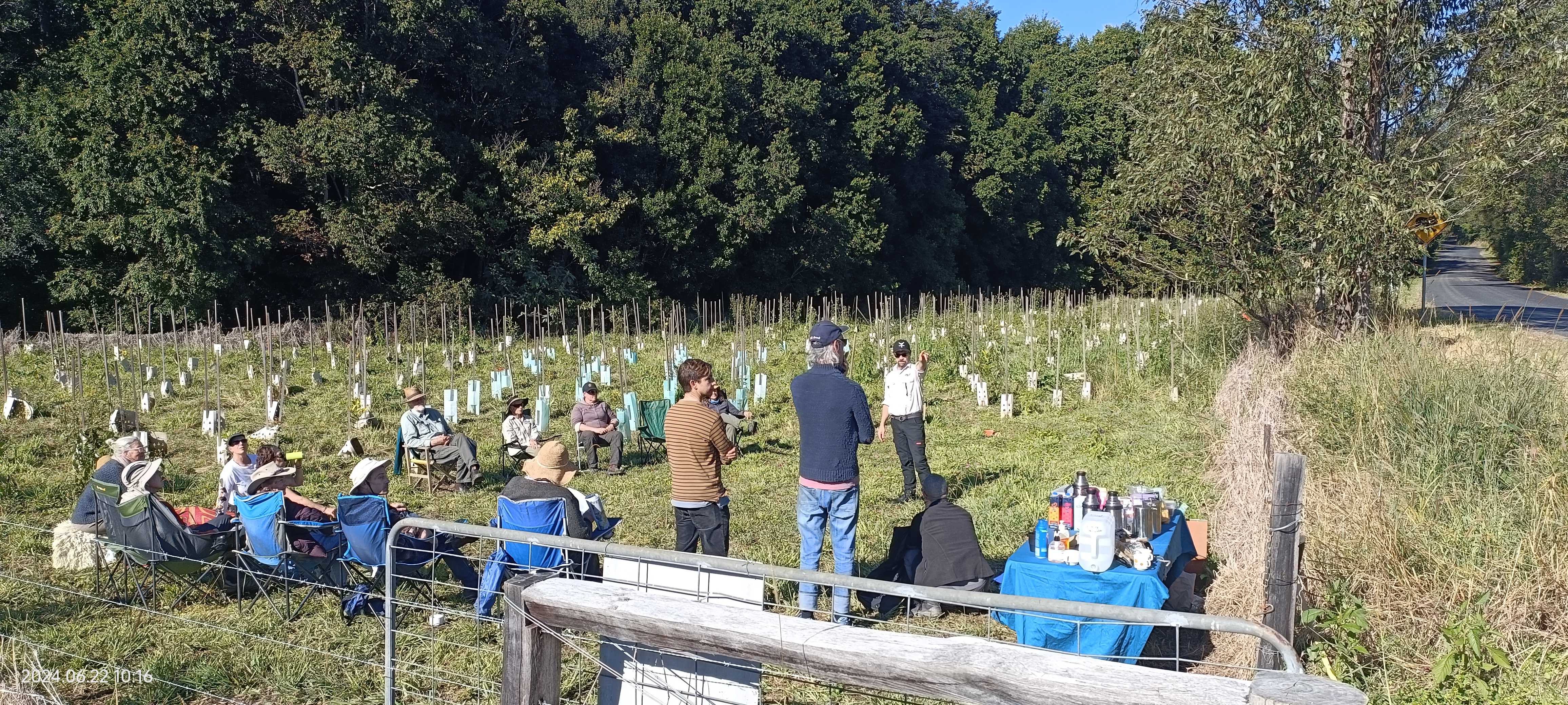 Hydes Creek Tree Planting.jpg