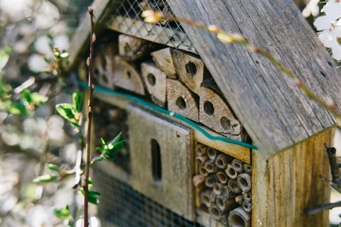 bee hotel 1.jpg